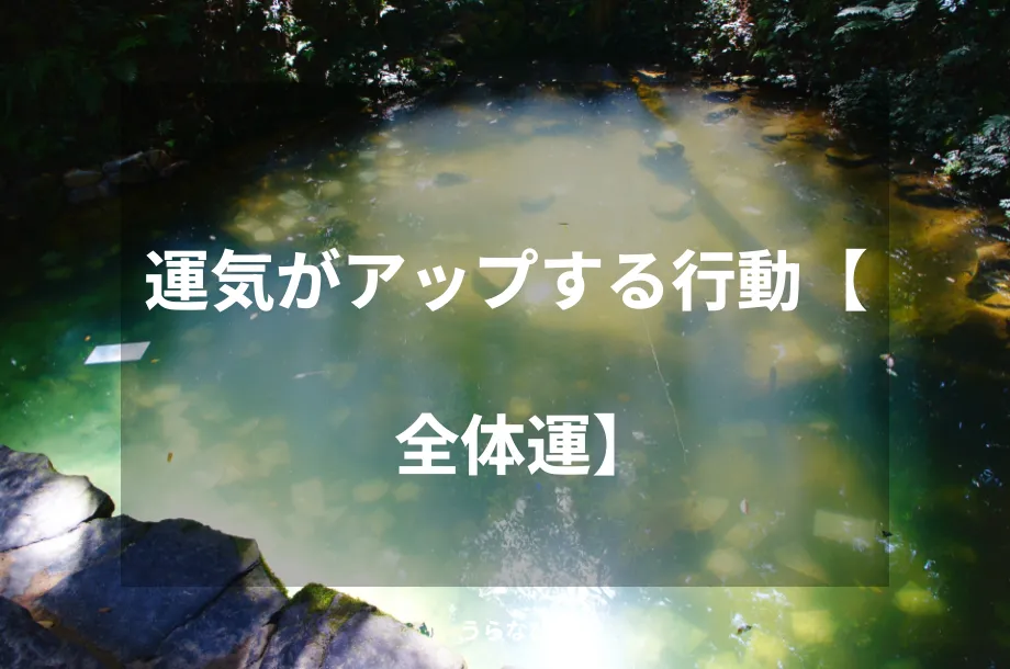 運気がアップする行動【全体運】