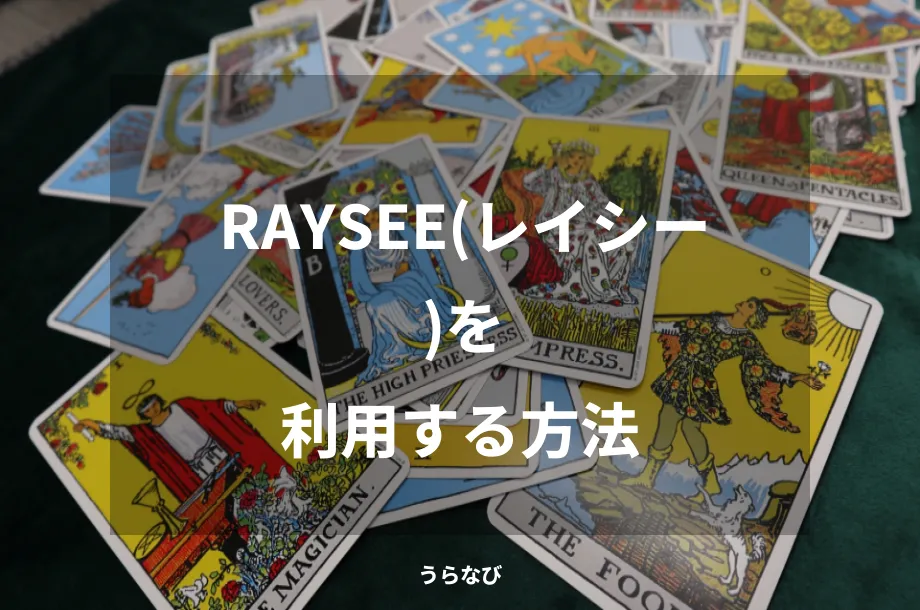 RAYSEE(レイシー)を利用する方法