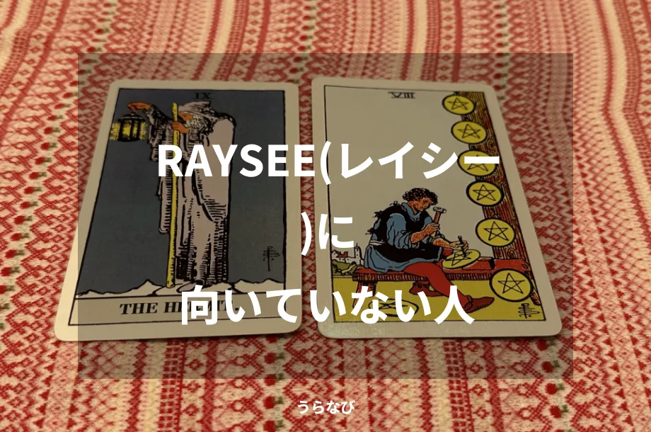 RAYSEE(レイシー)に向いていない人