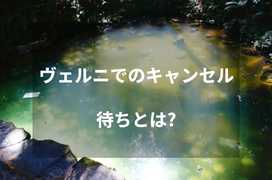 ヴェルニでのキャンセル待ちとは?